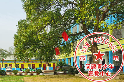 ��ɳ���������ӽ���ѧУ